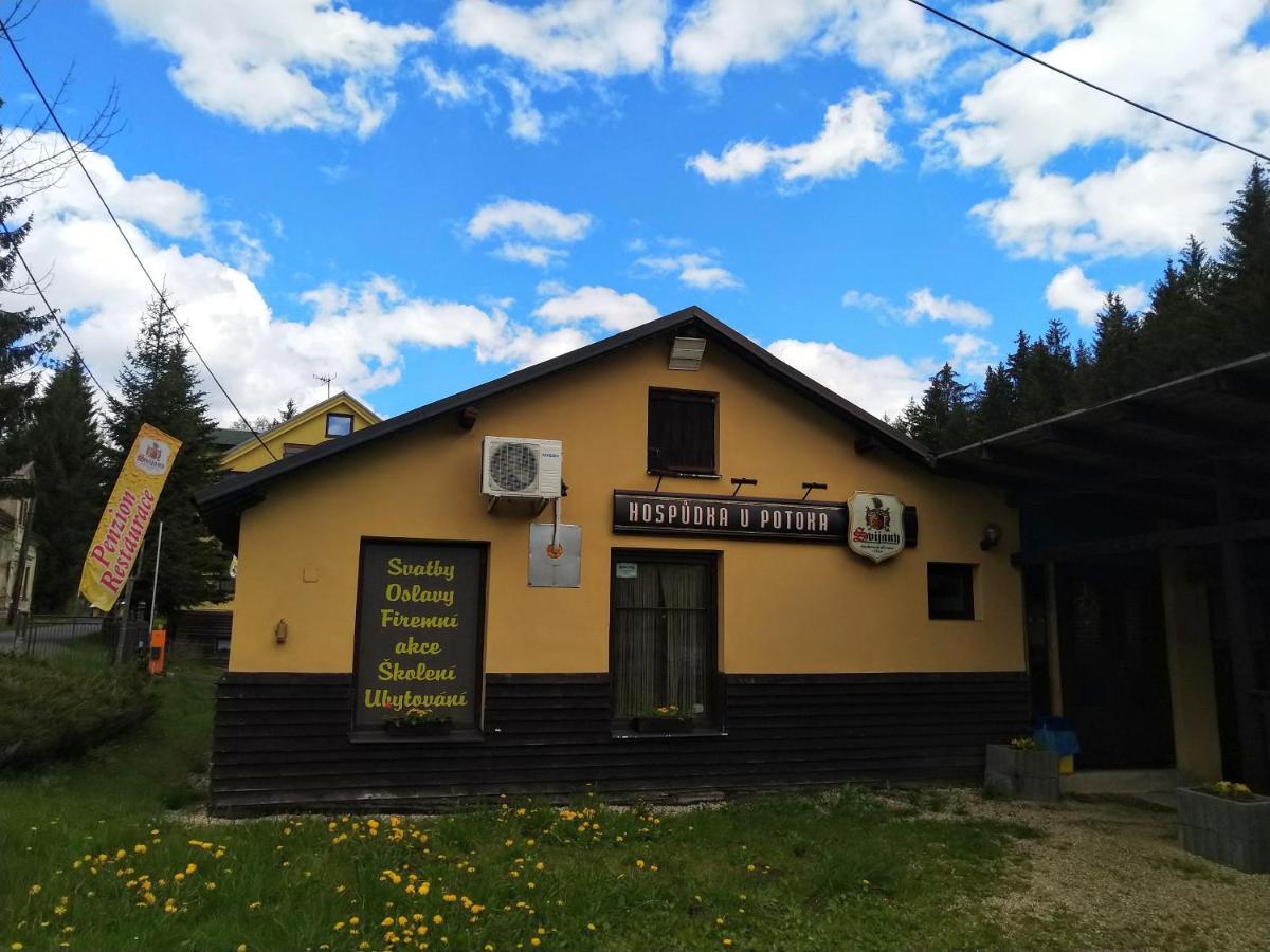 Penzion Karolina Lučany nad Nisou 外观 照片